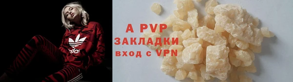 сатива Абаза