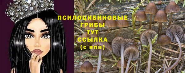 сатива Абаза