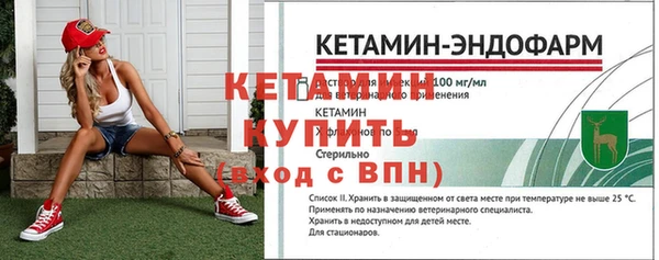 сатива Абаза