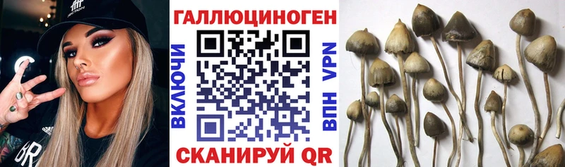 где купить наркоту  Фурманов  KRAKEN зеркало  Псилоцибиновые грибы мухоморы 
